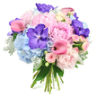 An opulent hand-tied bouquet is photographed against a bright white background, its colours glowing softly, like late afternoon light over Epping's quiet residential streets. At its centre, generous light pink peonies unfold in layers of feathery, ruffled petals, creating a plush, almost cloud-like heart to the design. Surrounding them, powder blue hydrangeas form rounded clusters, each made up of countless tiny florets that together create a cool, misty base and a pleasing contrast to the warm blush tones. Threaded through these gentle hues, deep purple Vanda orchids stand out dramatically; their wide, velvety petals are marked with intricate darker speckles, adding depth and a sense of exotic luxury that would feel at home at a sophisticated event in Epping or nearby Loughton. Sleek fuchsia pink calla lilies curve gracefully through the bouquet, their elegant trumpet shapes and subtly shaded centres drawing the eye and adding modern flair. Scattered between the larger flowers, small blush pink spray roses contribute a delicate, romantic layer, evoking the feeling of a carefully tended cottage garden. Around the blooms, silvery-green dusty miller introduces a soft, downy texture, while rich dark green leaves frame and support the composition, suggesting freshness and vitality. At the base, the natural stems are visible, neatly bound, revealing the handcrafted nature of the piece and the steady, practiced hands of a local florist used to creating meaningful gifts for birthdays, weddings, and anniversaries across Epping. The bouquet as a whole feels luxurious yet gentle, a soothing blend of cool blues, tender pinks, and regal purples that conveys celebration, affection, and quiet elegance in equal measure.