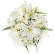 From a top-down, aerial viewpoint this hand-gathered round bouquet reads as a study in quiet white - a dense, circular cluster of pristine white oriental lilies, creamy ivory roses and clouds of tiny Gypsophila. The lilies open wide with trumpet-shaped petals and pale green stamens that offer a soft, architectural centre to the composition; nearby the roses sit mostly as tight buds or gently unfurling blooms, their velvety cream layers creating a tender, layered texture against the lilies' broader planes. Sprigs of delicate white Baby's Breath weave between the larger flowers, giving the arrangement an airy, frothy softness that softens the overall silhouette, while a few lively green leaves peek out at the rim to provide a fresh edge and subtle contrast. Photographed on a pure white background, the bouquet's symmetry and compact form emphasise its bridal and ceremonial character without distraction.
The bouquet carries a quiet scent - the lilies' sweet, heady perfume balanced by the gentle, honeyed note of the roses - and feels like a floral statement of purity and calm, suited for weddings, christenings or reserved sympathy tributes. As a local design you might picture arriving to a service or ceremony from Epping High Street or taking the bouquet for last-minute preparation near the edge of Epping Forest; the composition reflects the steady hand of an experienced florist who understands classical proportions and occasion-driven sentiment. The overall impression is of timeless elegance: a well-considered, tactile arrangement that reads strongly in photographs yet will also sit beautifully in a bride's hands or as a refined centrepiece at an intimate reception in the Epping area.