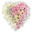 A full, perfectly shaped floral heart fills the frame, set against a clean white background that echoes the quiet stillness of a chapel in Epping. The design is composed almost entirely of roses and baby's breath, arranged with the precision of an experienced funeral florist. Down the centre, an invisible line divides the heart into two equal halves. On the left, clusters of creamy white and very pale lemon roses sit tightly together, their soft petals unfolding in calm, rounded spirals that evoke purity, serenity and a gentle farewell. On the right, an equally generous sweep of soft pink roses mirrors the same structure and fullness, their colour suggesting warmth, gratitude and cherished affection. Interlaced among the roses and tracing the complete outline of the heart, tiny white flowers of gypsophila create a delicate, feathery edge, as if a light mist surrounds the tribute. The baby's breath is especially concentrated along the outer rim and the dividing line, softening the contrast while keeping the two sections distinct. There is no greenery visible, which keeps the focus entirely on the emotional language of colour and form. The craftsmanship suggests careful, unhurried hands, perhaps working in a quiet Epping workshop before a funeral or memorial service. Overall, the arrangement feels both romantic and reverent, a beautiful choice for expressing love, remembrance and sympathy for someone dearly missed in the local community.