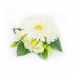 A compact, elegant corsage photographed against a clean white background, the composition centred on a single, fully open white Gerbera daisy whose many smooth, creamy-white petals fan outward around a vivid yellow-green eye. Surrounding and nestling beneath the Gerbera are soft Eustoma (Lisianthus) blooms and buds in creamy ivory and pale butter tones, their ruffled edges and gently unfurling forms creating a sense of movement and tender intricacy. A small layered white chrysanthemum peeks from the upper right, adding depth and a delicate, pretty punctuation to the cluster. Several slender, pale green Eustoma buds hover between petals-some tightly closed, others just beginning to reveal their inner silk-suggesting new growth and a quietly optimistic rhythm. Broad, glossy emerald-green leaves frame the arrangement from the back, their deep sheen giving the light-coloured flowers a restful, botanical contrast and anchoring the piece with a lush, sculptural feel. On the right, tiny white pearl beads are subtly woven through the foliage, catching the soft studio light and imparting a discreet, formal sparkle that speaks to weddings and special occasions. The overall palette of white, cream, soft yellow and deep green reads as cool, fresh and refined; the lighting is diffuse and gentle, allowing tactile textures-the velvety Gerbera petals, the frilled lisianthus edges, the waxy leaves-to be clearly sensed even without sight. As a local florist thinking of Epping spring ceremonies or gentle lapel adornments for St John's Church services, I picture this piece pinned close to a heart, carrying the quiet fragrance and poised freshness of a dew-kissed morning.