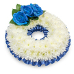 Captured from a gentle overhead angle against a clean white backdrop, this circular sympathy wreath reads as a study in quiet contrasts and careful craftsmanship. The main body is a dense ring of pristine white chrysanthemums, hundreds of feathery petals layered so closely they form a soft, cloud-like surface; their subtle cream-tinted centres peek through in places, catching the light and lending a whisper of warmth to the otherwise cool composition. At the upper left a cluster of three deep sapphire-blue roses rises slightly above the chrysanthemum band-their velvety, tightly spiralled petals appear almost luminous against the white, and they are cradled by glossy, dark green foliage that gives the group weight and a natural silhouette. Framing both the inner and outer edges of the wreath is a pleated satin ribbon in the same intense cobalt blue as the roses; the ribbon's gentle ruffles catch highlights and shadows, adding a refined sheen and defining the wreath's perfectly rounded form. A soft shadow beneath the arrangement anchors it visually and suggests a calm, still light-the kind of morning glow that suits a memorial setting. The overall effect is one of dignified solace: the whiteness conveys remembrance and purity, while the blue elements bring a personal, almost nautical calm that can feel like a quiet promise of continuity. As a florist who often prepares tributes for services near Epping Forest and local chapels, I imagine this piece positioned by a lectern or beside a photograph-a comforting, composed focal point that speaks of respect, memory, and gentle farewell.
