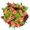 Seen from directly above against a crisp white background, this autumnal bouquet reads like a warm, tactile painting of fall. At its heart are many large, fully opened roses whose petals range from soft peach to vivid coral-orange, the outer edges blushing into deeper russet and reddish-brown tones so they read like miniature autumn leaves. Interspersed between the roses are clustered orbs of Hypericum berry in two moods: a zingy lime-green that lifts the palette and a pale creamy-yellow that soothes it. Nestled low and dense among the larger blooms are knotty, moss-like heads of green 'trick' dianthus (or a similar textured filler), velvety and tightly packed, offering a cool, tactile contrast against the smooth rose petals. Broad, glossy green leaves form a lush foundation while larger lobed leaves, burnished in deep burgundy and dried-leaf brown, punctuate the composition and underline the harvest feeling. The top-down composition is carefully compact and circular, designed to be viewed as a centerpiece - its layered textures and warm tones draw the eye inward and suggest the scent of fresh roses mixed with a faint earthy mossiness. Light falls softly and evenly, highlighting the velvety surfaces and casting gentle shadows that add depth without harshness. This arrangement evokes a comforting, homey warmth-ideal for Thanksgiving, a seasonal gift, or to bring autumn into a dining room after a walk through Epping Forest. It's a balanced study in colour and texture, crafted to convey gratitude, seasonal abundance, and quiet celebration.