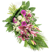 An elongated sympathy spray of pink and white blooms is captured against a pure white backdrop, highlighting its elegant, flowing shape as it sweeps from the neatly tied stems at the upper left down to a soft, tapered point. The overall look is serene and dignified, the kind of floral tribute one might see resting beside a coffin or memorial portrait at a service in Epping or near the edge of Epping Forest. At the core of the design, several prominent Stargazer lilies open wide, their star-shaped petals glowing in tones of deep fuchsia-pink with clean white borders and subtle burgundy speckles. A few lily buds, tinged with green and rose-pink, stand upright, suggesting beauty still unfolding. Interspersed throughout are bright magenta gerbera daisies, their bold discs bringing warmth and contemporary colour, balanced by clusters of classic white roses whose petals are tightly furled or just beginning to open. These roses sit alongside ruffled white carnations, which add a soft, cushiony texture and a sense of gentle affection. Delicate white filler flowers, similar to small daisies, weave in and out, catching the light and adding fine detail. Surrounding the blooms, a generous collar of foliage fans out: broad, dark green leaves give structure and weight, feathery fern fronds offer a light, lacy edge, and slender, grass-like leaves extend outward and downward, echoing the spray's elongated line. The lighting is soft and even, allowing the colours to remain rich yet soothing. This carefully arranged funeral sheaf, such as Flowers Epping might create for local deliveries, conveys compassion, respect, and heartfelt sympathy in a quiet, refined way.