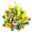 A lush, mounded bouquet photographed against a crisp white background, its colours and textures described as if held at arm's length. Bright yellow Asiatic lilies dominate the silhouette, some petals fully open to reveal freckled throats and stamens, while others remain elongated chartreuse buds that lift the arrangement and suggest movement. Soft lavender roses sit nestled near the centre, their tightly spiralled petals mellowing the composition with a gentle scent that seems almost audible in the still light. Broad, glossy greens and layered foliage form a verdant cradle, allowing the energetic orange Gerbera daisies - their flat, sun-like faces and darker centres - to punctuate the design with joyous rhythm. Lime-green button chrysanthemums add compact, ruffled volume like mossy cushions, while clusters of small, spherical orange and yellow accent blooms (reminiscent of Craspedia or similar pom-poms) scatter playful, bouncy notes throughout. Cooling the warm palette, blue-grey sea thistles (Eryngium) thrust subtle architectural spikes from the lower and side edges, their bristled forms offering an intriguing contrast in both shape and hue. The arrangement reads as both celebratory and contemplative - suited to birthdays, a bright get-well message, or a comforting remembrance - and the soft studio lighting highlights dewy textures and the tactile contrast between silky petals and spiky accents. A local touch could place this bouquet on an Epping High Street mantelpiece or a wooden table after a stroll in Epping Forest, where the colours would feel at home against early morning light and cool woodland greens.