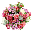 In this overhead photograph, a generously rounded bouquet is shown in full bloom against a spotless white background, creating the impression of a floral jewel suspended in mid-air. At its heart, luxuriant roses in deep magenta, rich rose pink, and softer blush tones open widely, some petals pale at the edges to a near-cream that softens and romanticises the overall palette. Surrounding them, layers of pink and peach-pink carnations add a frilled, feathery dimension, their dense, textured petals giving the arrangement a cosy, almost nostalgic charm. Interspersed throughout are small, cheerful daisy-style chrysanthemums in shades of lavender and mauve, each centre glowing lime green, like tiny sparks of energy that keep the eye moving around the bouquet. Cream and white blossoms are carefully placed to brighten the cluster, ensuring the composition never feels heavy and instead retains an airy, uplifting mood. The greenery is abundant but refined: round eucalyptus leaves in a muted, silvery green provide cool contrast and a hint of that familiar, soothing scent, while deeper green leaves shape the bouquet and echo the verdant feel of Epping's gardens and the vast canopy of Epping Forest. Slim leaves with reddish-pink variegation weave discreetly through the flowers, adding subtle hints of warmth and suggesting a gentle seasonal shift. This arrangement feels like a joyful yet sophisticated gesture, ideal for birthdays, heartfelt thank-yous, or romantic surprises delivered to homes and offices across Epping, radiating a sense of care and celebration every time it catches the light on a dining table, desk, or bedside.