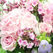 A close, intimate view of this pink bouquet reveals an artfully balanced mix of texture and tone, the kind of arrangement you might see ready for collection at a trusted Epping florist. A full, rounded head of light pink hydrangea anchors the centre and upper left of the composition, its many tiny petals layered tightly together to form a plush, cloud-like mass that instantly conveys softness. Just below and slightly to the left, a classic rose in a deeper blush tone opens in a near-perfect spiral, its velvety petals curling outward with effortless grace, while on the mid-right another rose of similar hue mirrors its form, creating a gentle visual dialogue between the two. Threaded neatly between these main blooms, clusters of petite fuchsia and magenta flowers-similar to waxflower or phlox-bring a livelier burst of colour, their darker centres and fine stems adding detailed contrast and a hint of wildflower charm. On the lower right, a single bell-shaped campanula in soft lavender leans into view, its cool lilac note softly tempering the dominant pink palette and suggesting quiet elegance. Surrounding this central cluster, glossy green foliage and slender stems weave in and out, framing the flowers with natural depth and a sense of freshly gathered growth, as though the bouquet has just come in from a garden on the edge of Epping Forest. Gentle, diffused light falls across the arrangement, catching the curves of the petals and bringing out a delicate sheen, while subtle shadows add dimension. The overall feeling is one of airy romance and peaceful celebration, ideal for marking birthdays, anniversaries, or simple messages of affection sent to loved ones around Epping.