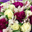 A beautifully composed bouquet fills the frame, brimming with creamy white roses, jewel-toned carnations, and airy alstroemeria, the kind of carefully balanced design often created for residents around Epping High Street and Theydon Bois. The roses are the stars, their petals unfolding in soft spirals from tight, cup-shaped cores into broader, velvety layers of ivory and pale cream, with subtle hints of butter-yellow warmth at their centres. Around them, carnation heads in deep magenta and purple tones pack in tightly, their heavily ruffled petals catching the light in small waves, adding volume and a rich, velvety texture. Dancing between these larger blooms are clusters of alstroemeria: slender, lily-like flowers in white and soft blush, some petals marked with precise streaks of raspberry and burgundy that resemble fine ink lines. Glossy green foliage provides a lively contrast, its leaves slipping in and out of view, separating the whites and purples so that each bloom has its own space to shine. A soft, lavender-coloured wrapping encircles the arrangement, visible just at the edges and top, cupping the flowers and echoing the cooler tones of the carnations without overwhelming the composition. The lighting appears natural, as if the bouquet is resting near a shop window in central Epping, showing off every subtle shift in colour and texture. The overall feeling is of gentle sophistication and heartfelt warmth, making this arrangement perfect as a birthday surprise, a romantic gesture, or a comforting arrangement delivered to a friend who needs a touch of beauty and reassurance.